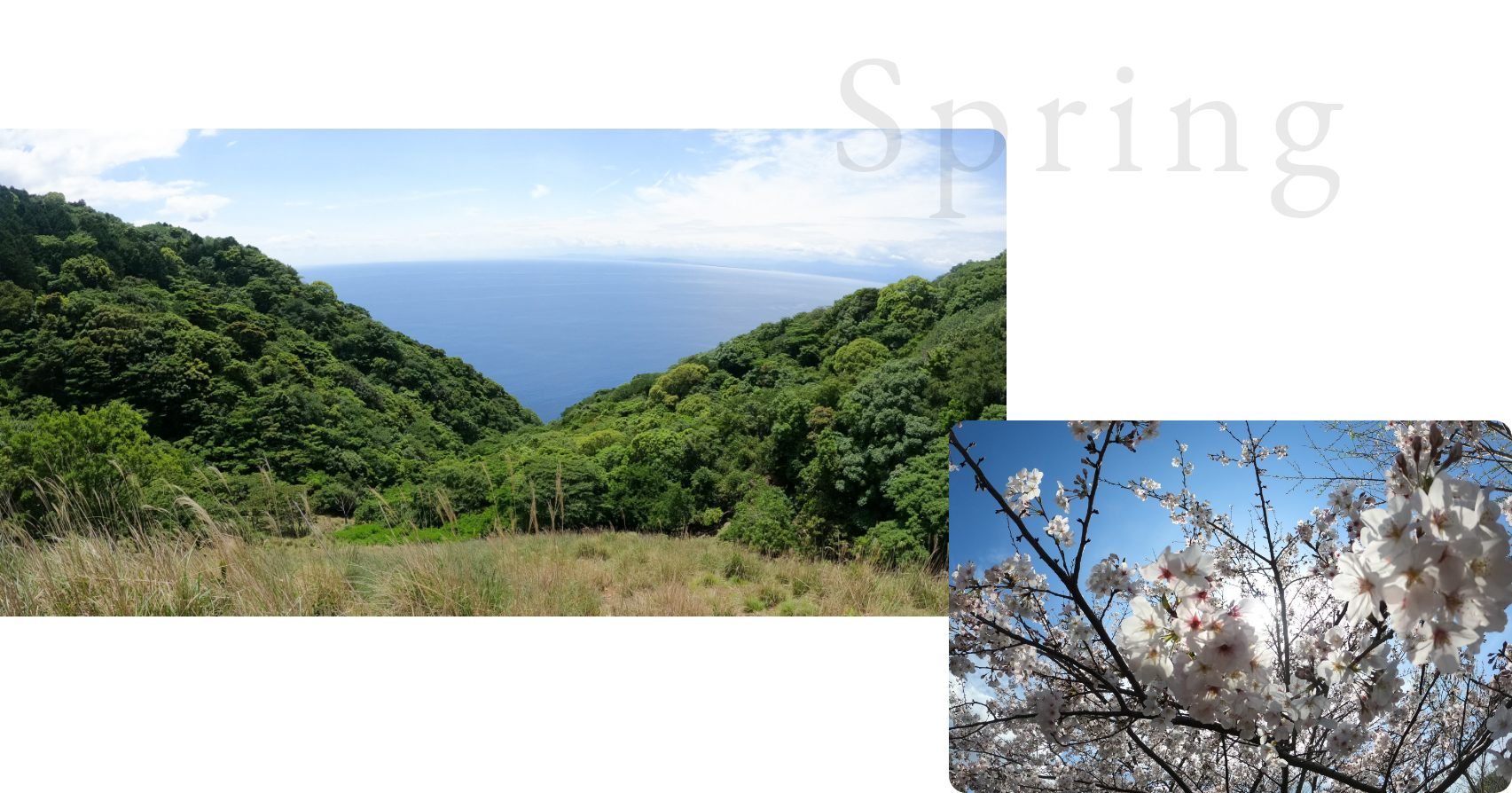Spring