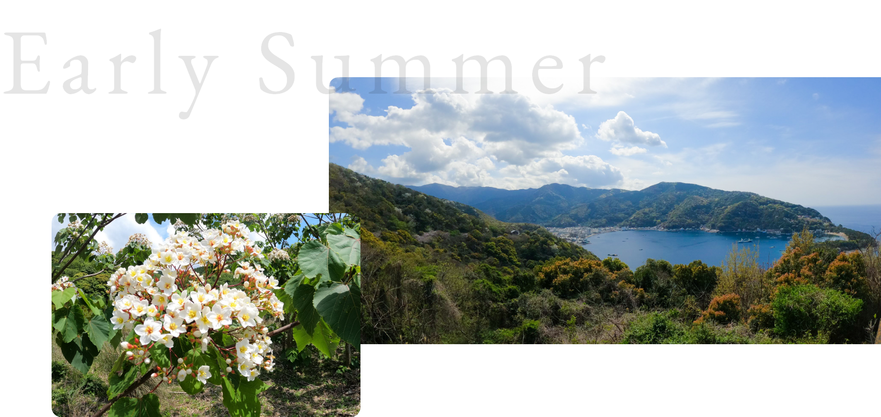 Early Summer